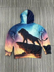 Boy's 3D Lion Print Hoodie Casual Hooded Sweatshirt