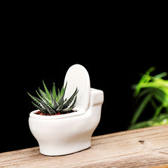 Decorative Ceramic Flower Pot for Succulents and Bonsai Trees
