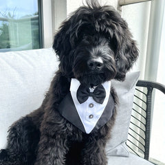 Formal Dog Tuxedo Bandana with Bow Tie for Weddings Graduations Dress Up