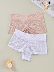 2 Pack Plus Size Lace High Rise Briefs Set