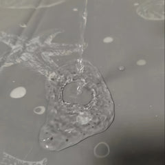 img_5544883