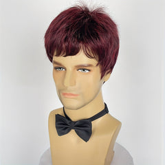 Men's Short Wig for Parties and Holidays
