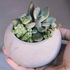 DIY Concrete Candle Jar Aromatherapy Silicone Mold for Succulent Plant Flower