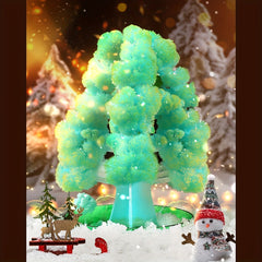 Kids Crystal Planting Set - Grow Christmas Tree in 24 Hours