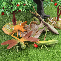 26pcs Realistic Insect Model Set Butterflies Mantis Spider Lizard Frog & More