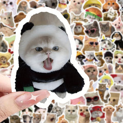 100pcs Funny Cat Series Stickers Laptop Helmet Desktop Water Cup Decor