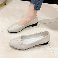 Women's Low Heel Slip-On Pointed Toe Shoes