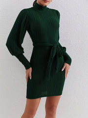 Solid Ribbed Bodycon Dress High Neck Long Sleeve