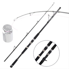 YiYi 2 Sections Spinning Casting Fishing Rod 5 9ft Portable Fishing Pole