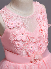 Christmas Toddler Girls Flower Plant Embroidery Lace Party Dress