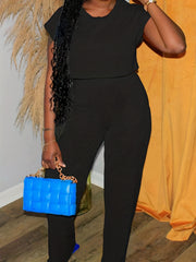 2 Piece Set Solid Crop Top & Pants Outfit