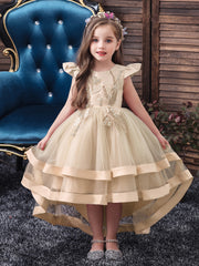 Kids Trailing Princess Dress Halloween Christmas Dress