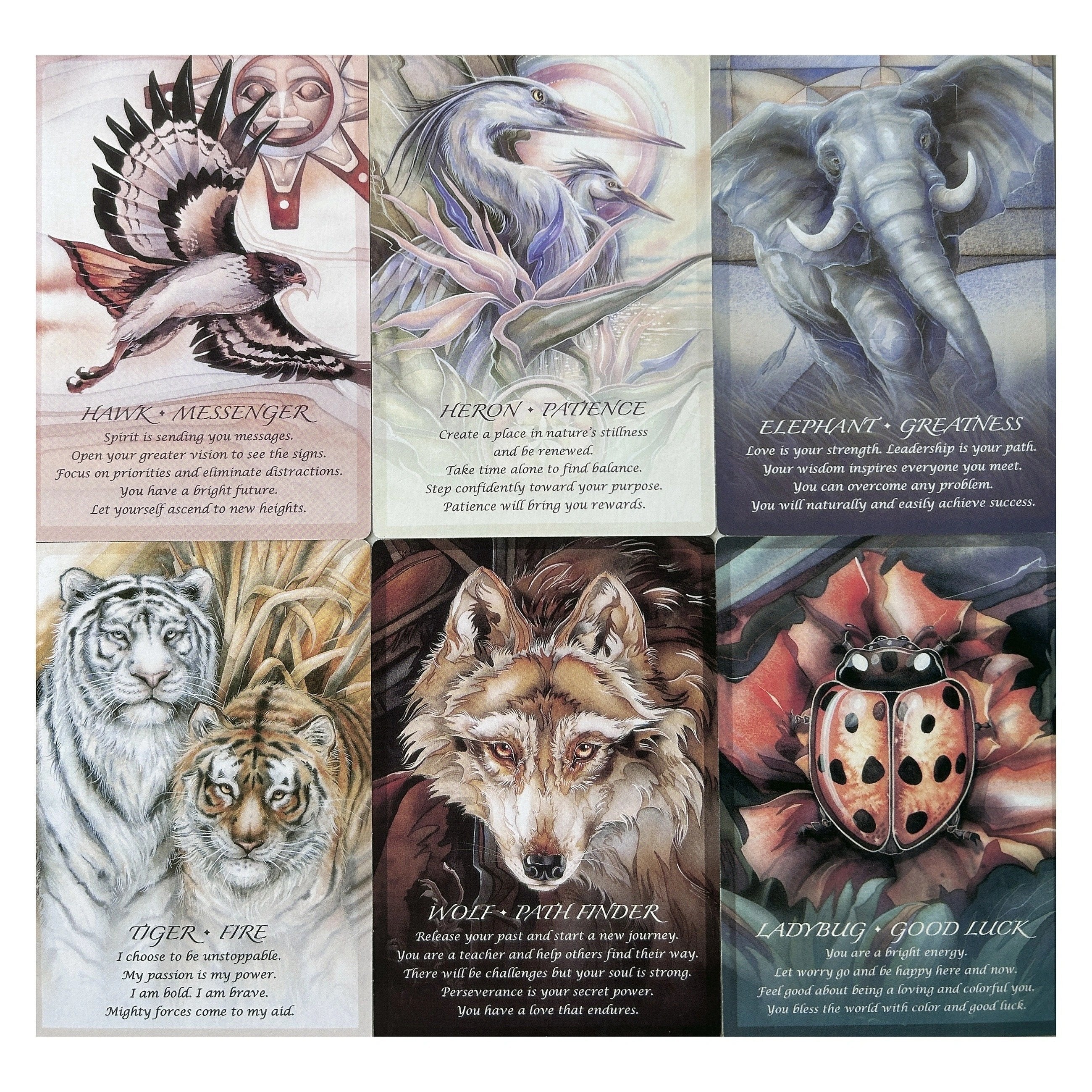 Large Oracle Cards with Learning Guide - Fortune Telling Game
