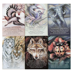 Large Oracle Cards with Learning Guide - Fortune Telling Game