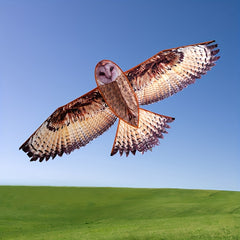 Lifelike Owl Kite Easy to Fly & Assemble Outdoor Fun Games Mini Bag