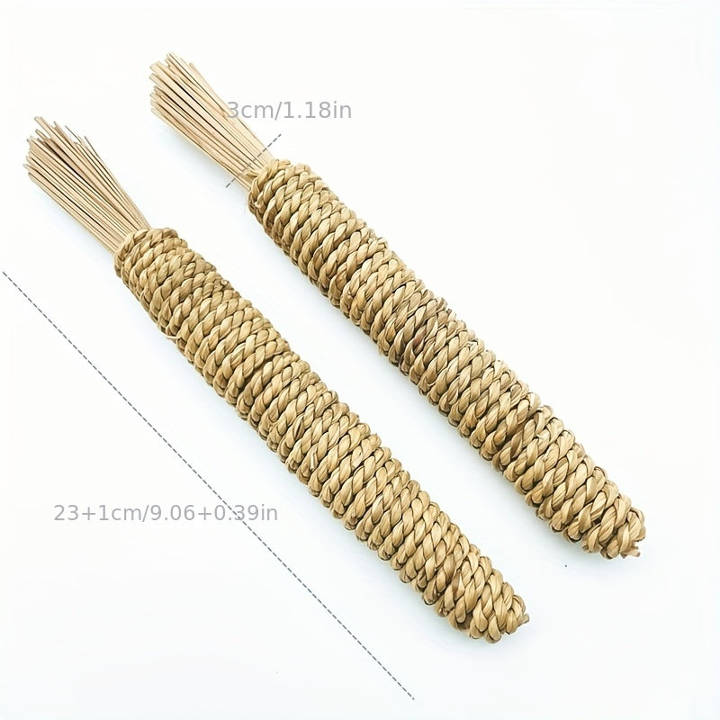 Chew Toys for Small Pets Water Grass Radish