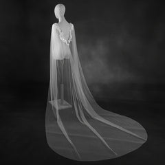 Bridal Wedding Veil Capelet Sheer Lace with Lace Trim Flowing Train