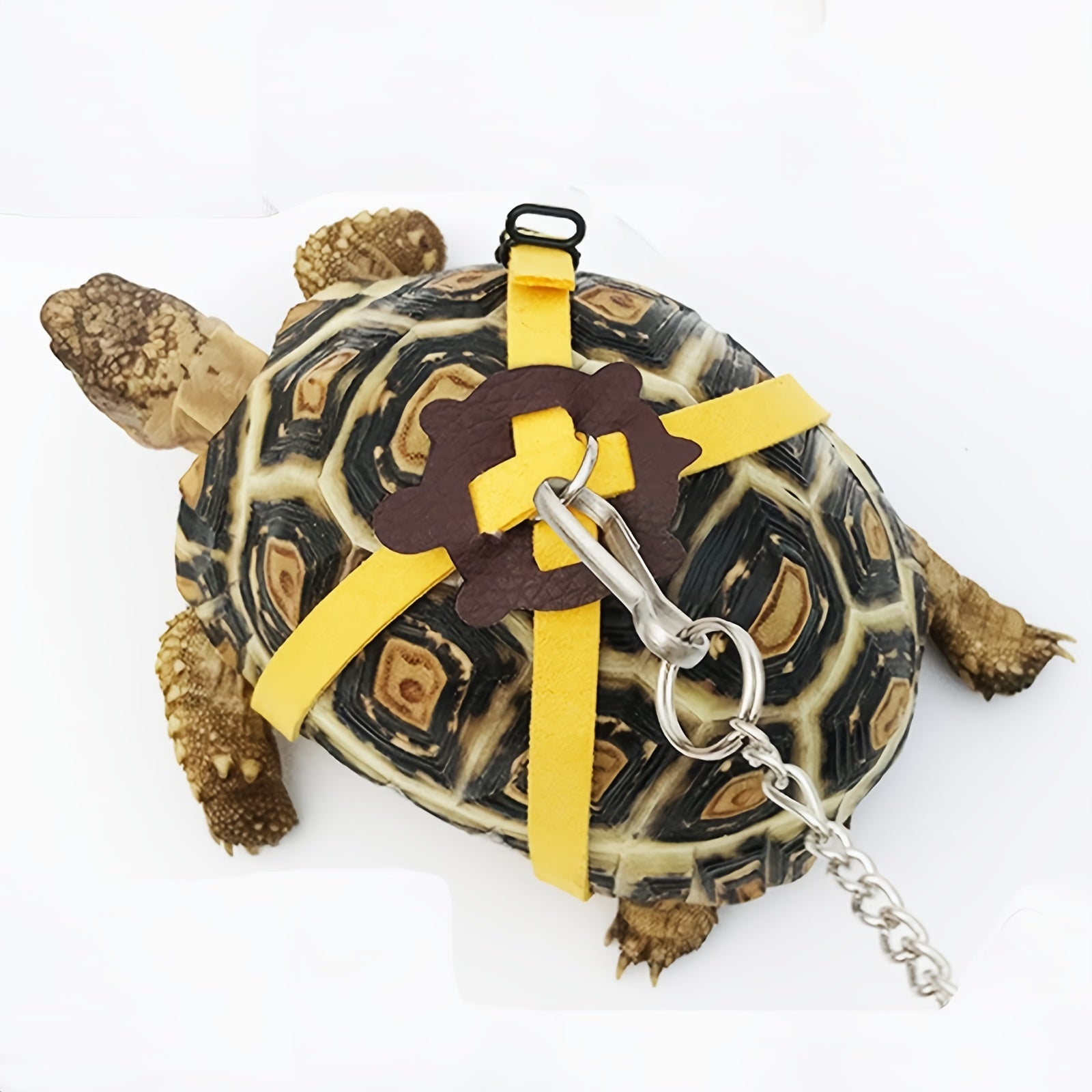 Turtle Leash and Harness Set - Walk Your Tortoise Safely - Essential Supplies