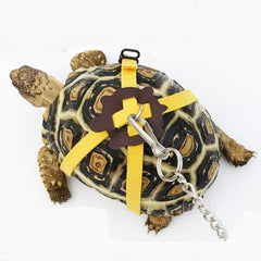 Turtle Leash and Harness Set - Walk Your Tortoise Safely - Essential Supplies
