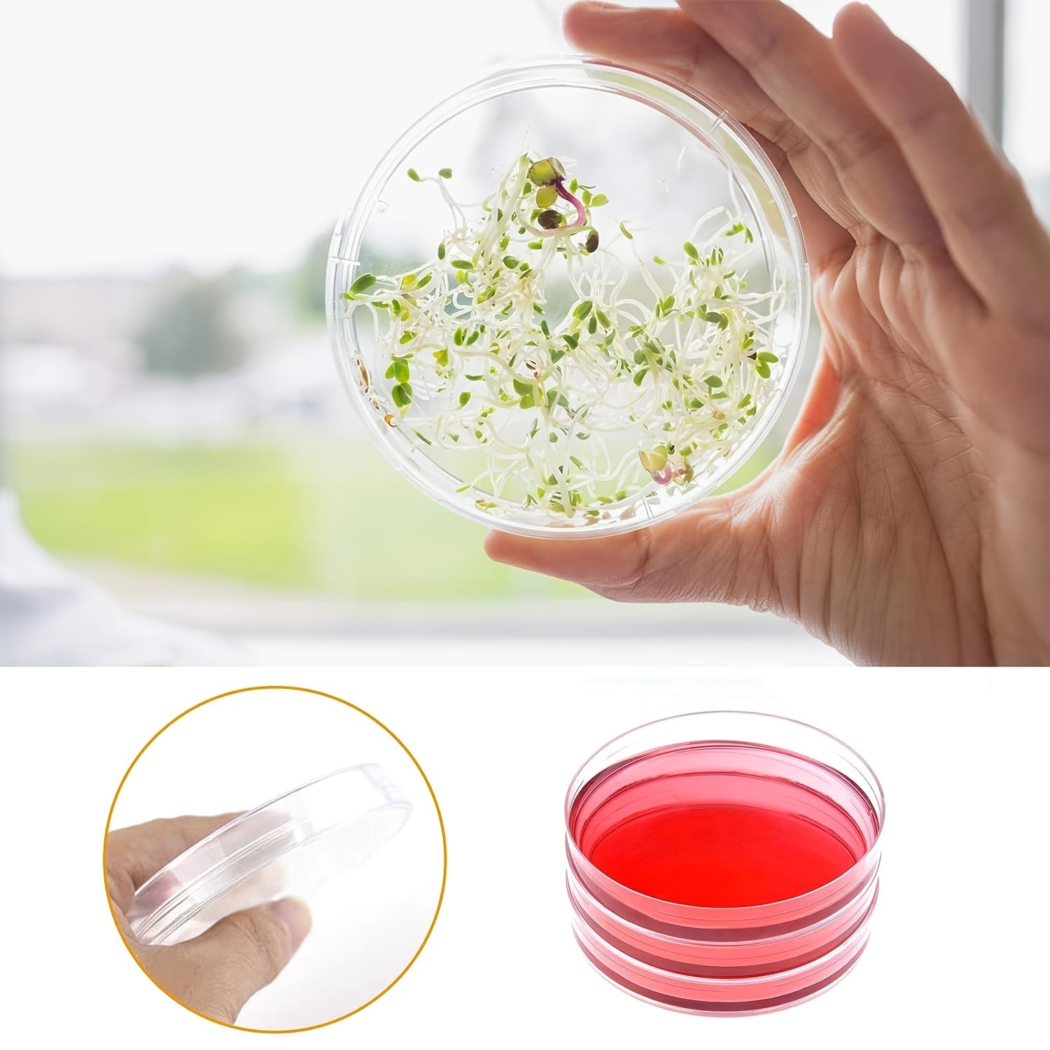 20-Pack Sterile Cultivation Plates with Covers 90mm x 15mm