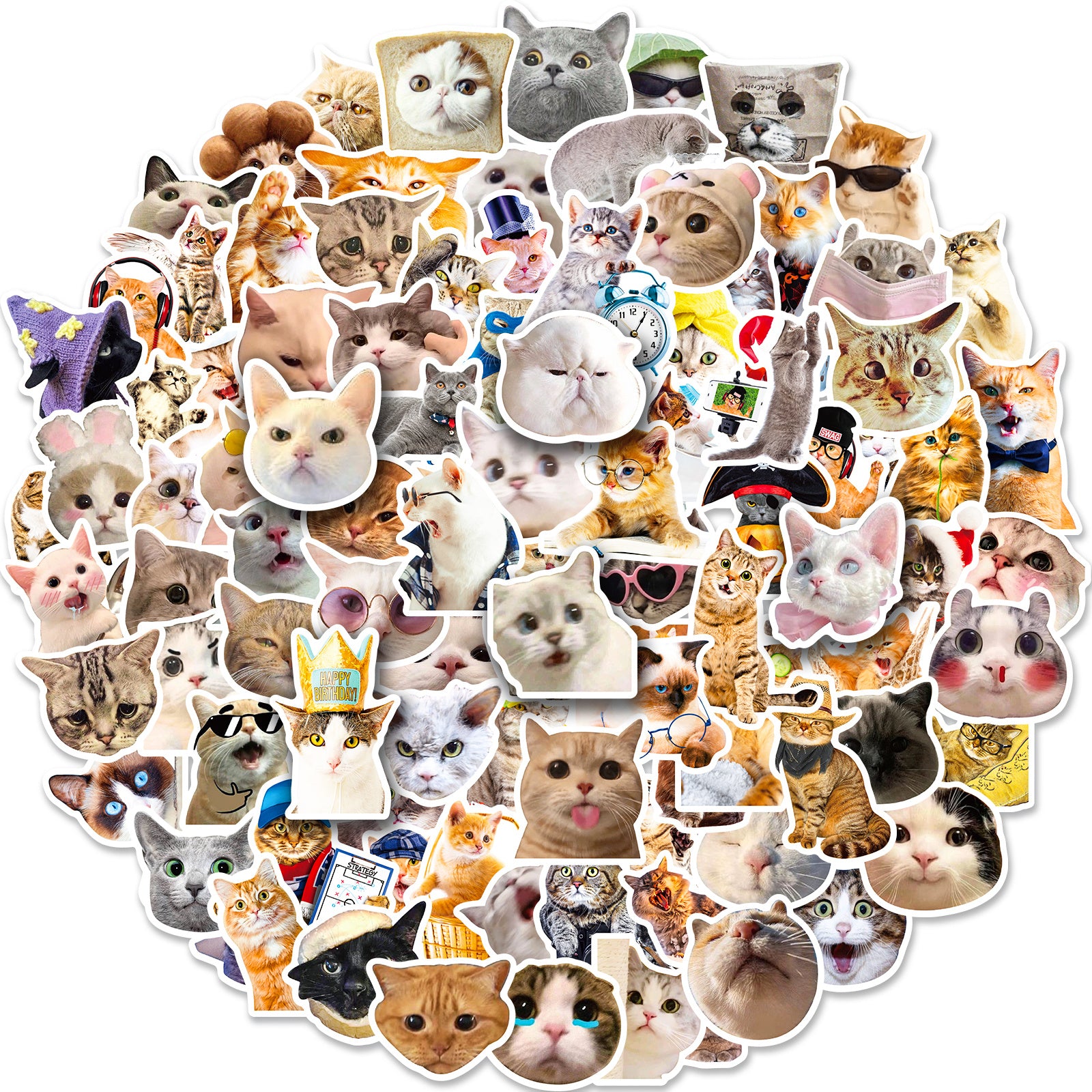 100pcs Realistic Cat Mixed Stickers for Water Cup Computer Mobile Phone Decor