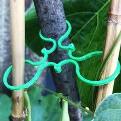 20pcs Plant Fixing Buckles for Enhancing Garden Beauty