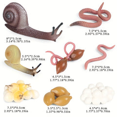 8pcs Snail & Earthworm Life Cycle Figurines Toy Set - Educational Project Birthd