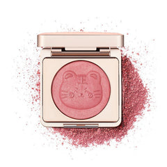 Dewy Finish Skin Tint Blush Makeup