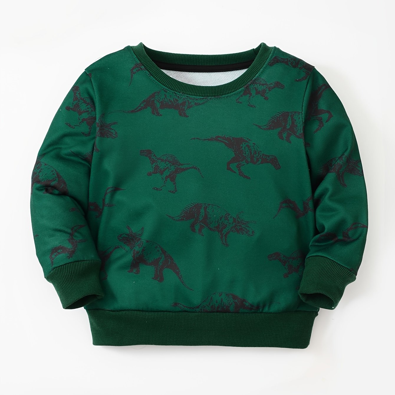 Boys Dinosaur Pullover Sweatshirt Round Neck Long Sleeve Warm Top