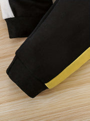 Baby Boys Long Sleeve Hoodie Long Pants Set