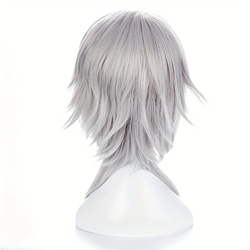 Anime Cosplay Silver Gray Men's Wig Full Head Cover