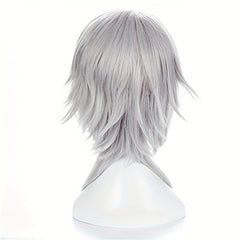 Anime Cosplay Silver Gray Men's Wig Full Head Cover