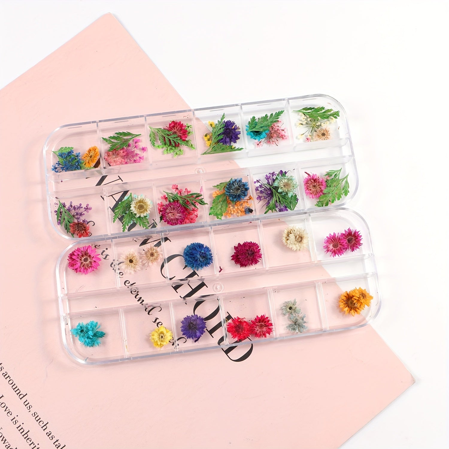 Natural Dried Flower Daisy Pressed Dried Flower With Leaf Resin Mold Fillings