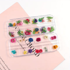 Natural Dried Flower Daisy Pressed Dried Flower With Leaf Resin Mold Fillings
