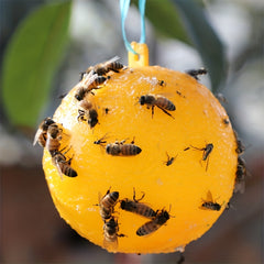 Sticky Ball Traps for Fruit Flies Mosquitoes & Insects Indoors & Outdoors