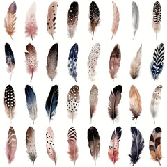 50pcs Feather Stickers for Skateboards Computers Bookshelves