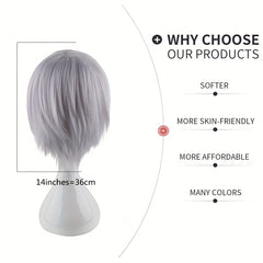 Men's Silver Gray Anime Costume Wig for Parties