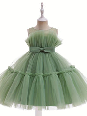 Girls' Mesh Ball Gown Princess Dress