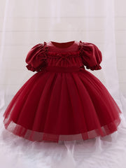 Mesh Puffy Gown Dress for Christening Wedding Flower Girl Princess