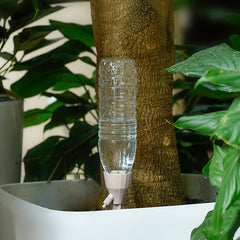 Automatic Flower Watering Device for Business Trip - 2 Packs