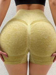 High Waist Quick Drying Sports Shorts Women's Activewear