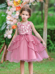 Girls Sleeveless Flower Embroidery Mesh Princess Dress