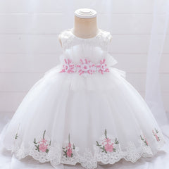 Baby Girl Mesh Embroidered Princess Dress