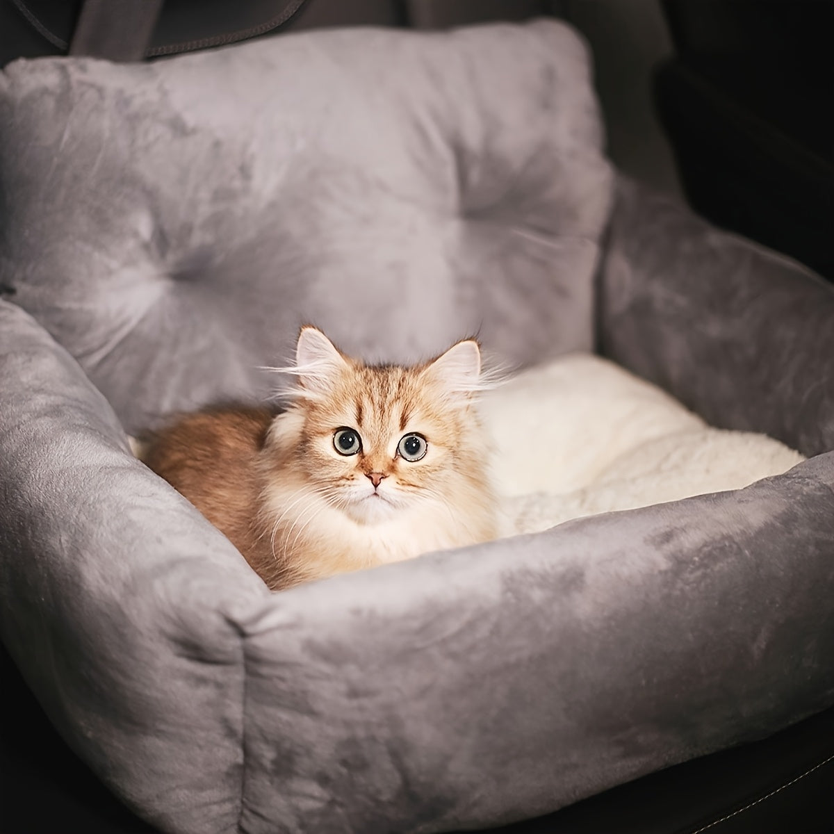 img_6473346