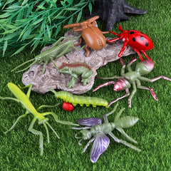 26pcs Realistic Insect Model Set Butterflies Mantis Spider Lizard Frog & More