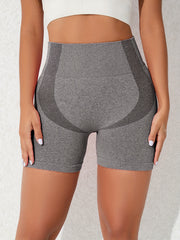 3pcs Seamless Yoga Shorts High Waist Sports Running Women's Activewear
