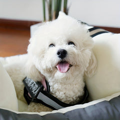 Washable Pet Car Seat for Small-Medium Dogs Under 35lbs with Safety Features