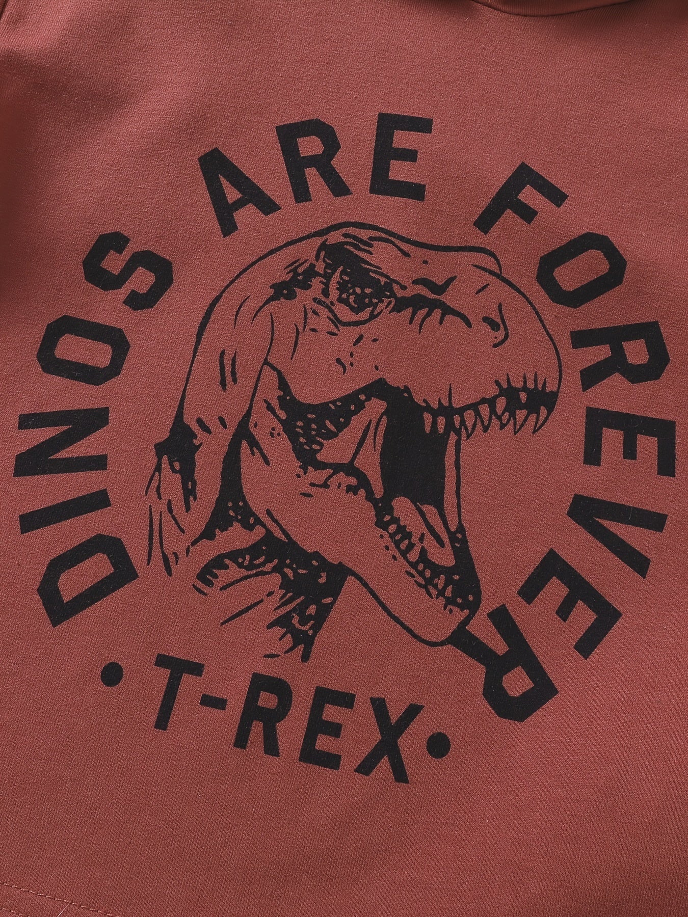 Boys Dinosaur Hoodie Sweatshirt Top Kids Clothes