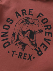 Boys Dinosaur Hoodie Sweatshirt Top Kids Clothes