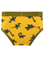 5pcs Boy Cartoon Print Briefs